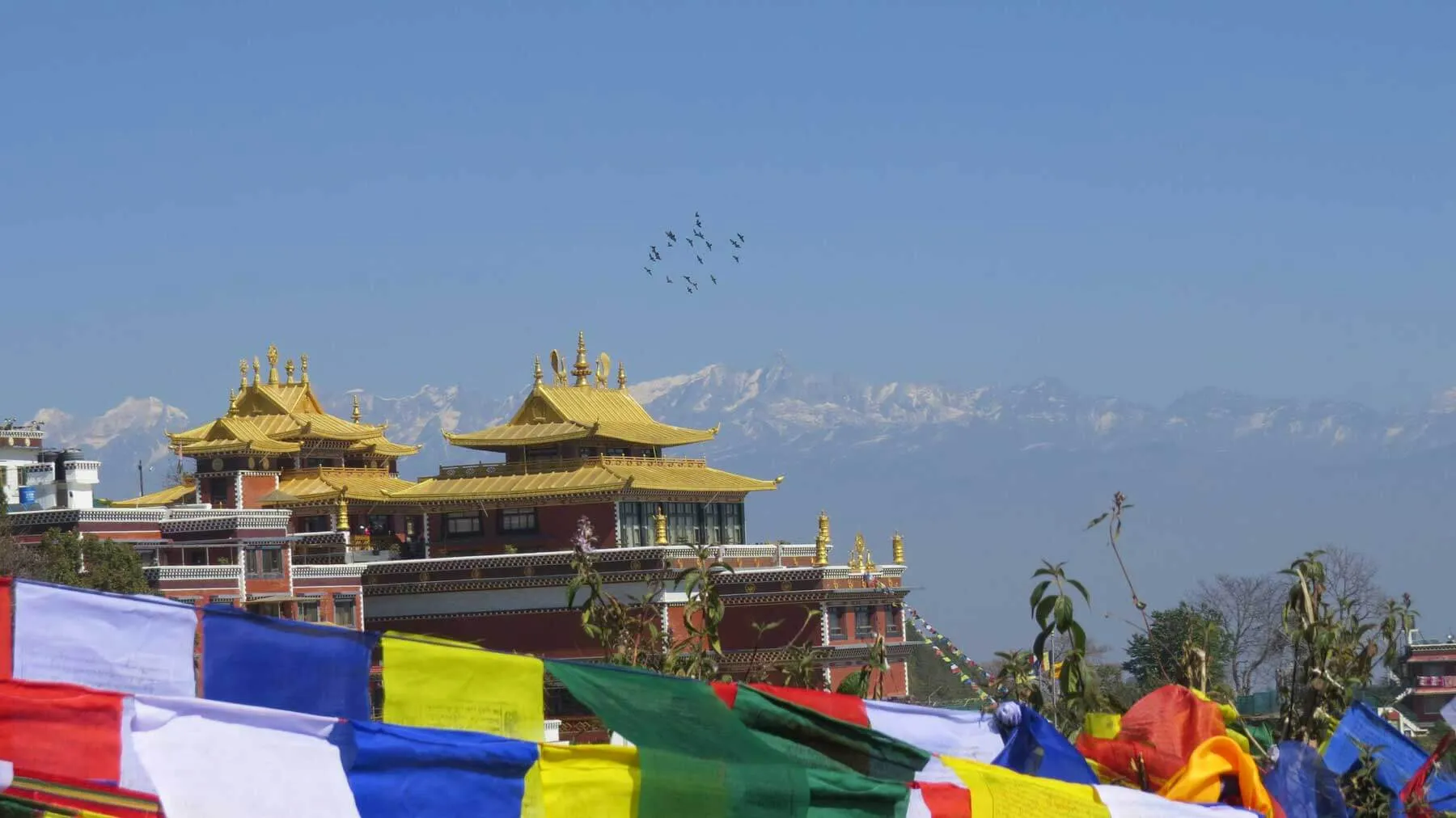 Monk for a Month Nepal