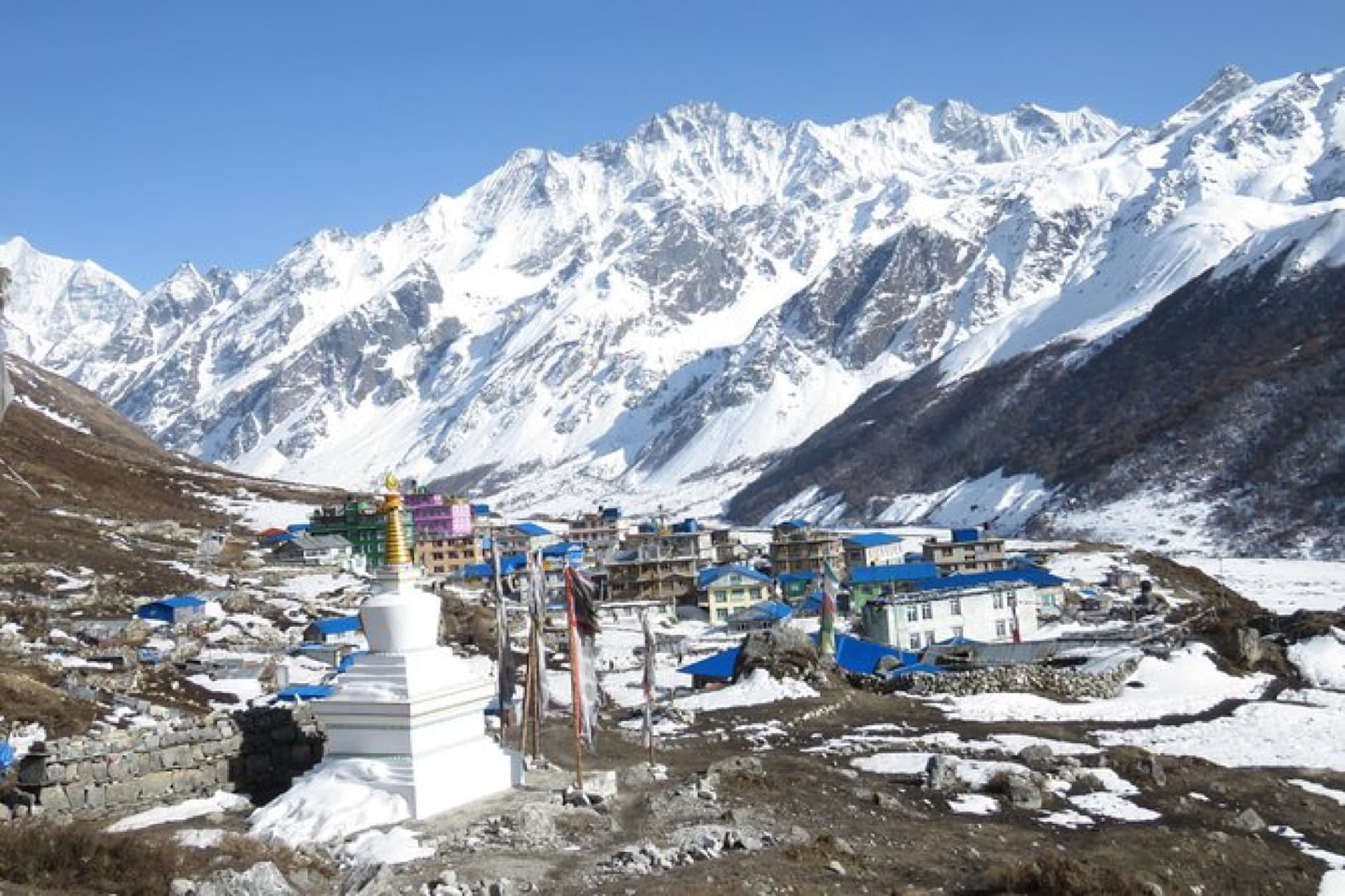 Langtang Valley Trek with Ganja La Pass