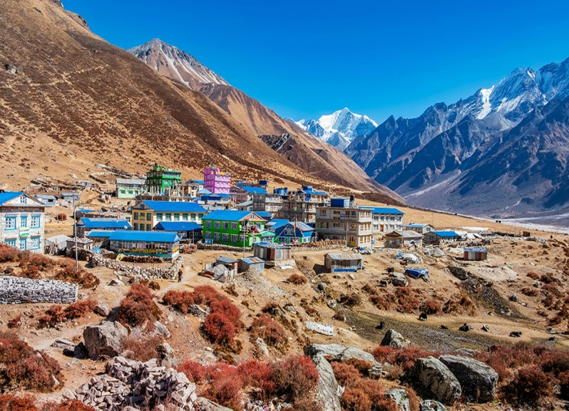 Langtang Valley with Gosaikunda Trek